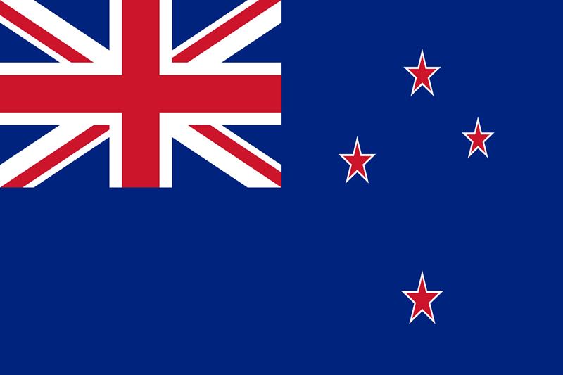 New Zealand flag which could be displayed at a house party.